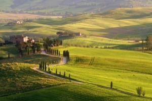 上海宝矿力水特篮球联赛，激情与团队精神的完美展现上海宝矿力水特篮球联赛